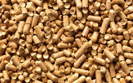 Træpiller og brændsel